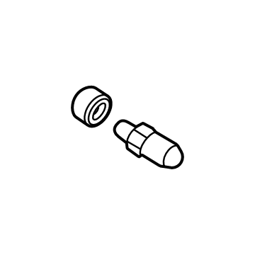 Lincoln E1GZ-2208-A Caliper Bleeder Screw