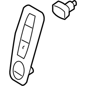 Lincoln DA5Z-13508-AA Applique Panel