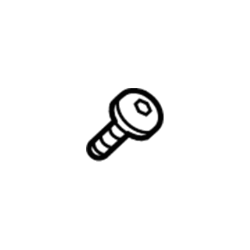 Lincoln -N807658-S307 Striker Screw