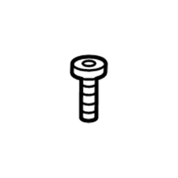 Lincoln -N807750-S437 Buckle End Screw