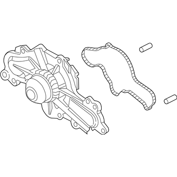 Ford DG1Z-8501-D Water Pump Assembly