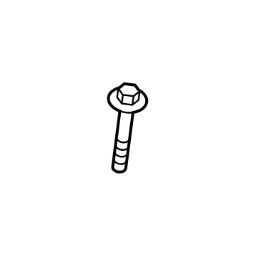 Lincoln -W500300-S442 Rear Hose Bolt