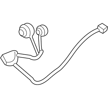 Ford DG1Z-13410-F Socket & Wire