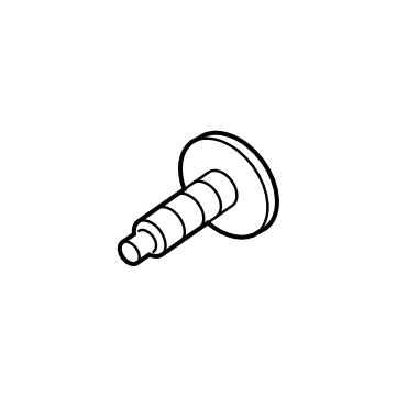 Ford -N807572-S439 Fog Lamp Assembly Screw