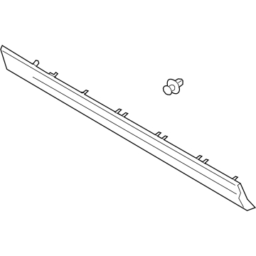 Lincoln LJ7Z-7820878-BBPTM Side Molding