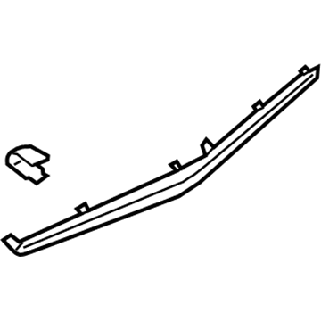 Ford GN1Z-5824140-JA Insert Strip