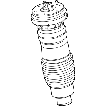 Lincoln LC5Z-3C199-K Air Spring