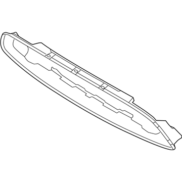 Ford DR3Z-8419-BA Molding