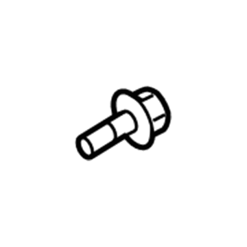 Lincoln -W713778-S900 Door Check Bolt