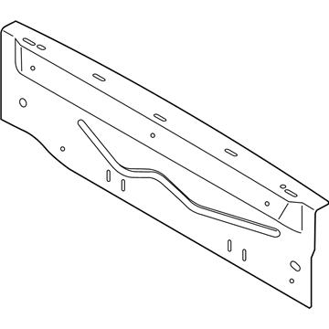 Ford CN1Z-7440338-B Reinforcement Panel