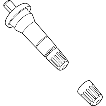 Ford F2GZ-1700-E Valve Stem