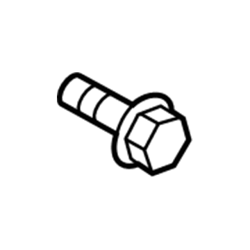 Ford -W705314-S424 Display Unit Screw