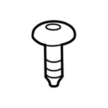 Lincoln -N807780-S900 Sight Shield Screw