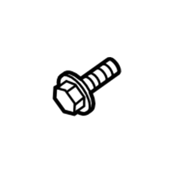 Lincoln -N804376-S307 License Bracket Screw