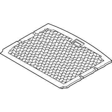 Ford M1PZ-7813046-AA Floor Cover