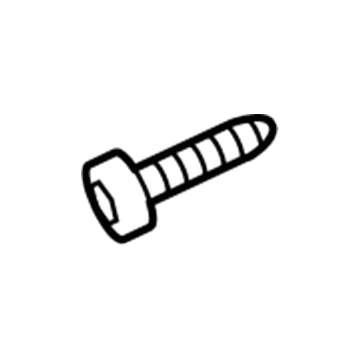 Lincoln -W711379-S900 Striker Bolt