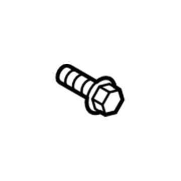 Ford -W703313-S307 Front Driver Speaker Screw