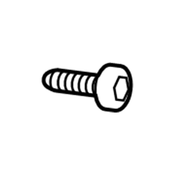 Ford -W709287-S300 Air Mass Sensor Screw