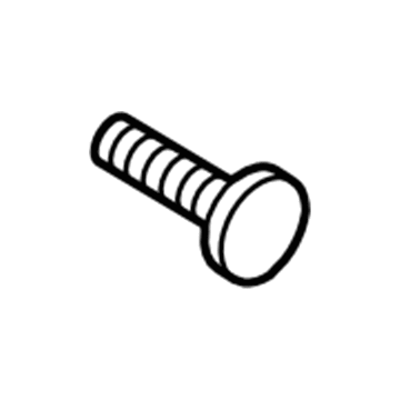 Lincoln -W790088-S901 Shift Knob Screw