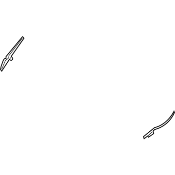 Ford M1PZ-78018A16-A Outer Molding