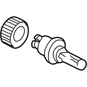 Ford F4TZ-13N021-B Bulb & Retainer