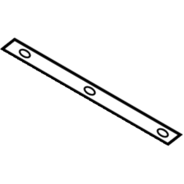 Ford FL3Z-1521702-A Protect Strip