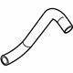 Ford F1VY-8286-B Lower Hose Ford F1VY-8286-B Lower Hose
