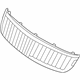 Ford 7H6Z-8200-A Grille - Radiator