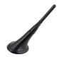 2000 Mercury Mountaineer Antenna