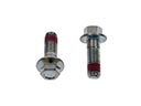 Brake Caliper Bolt