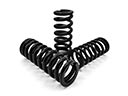 Coil Springs, Strut Spring